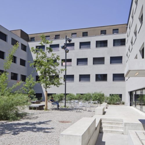 Meierwiesenstrasse (6)