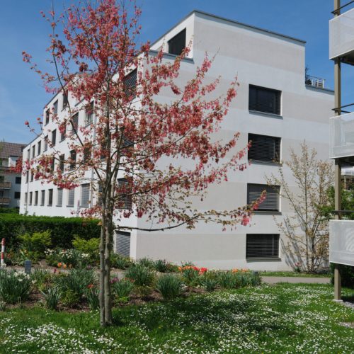 SSWZ_Bächlerstrasse_147