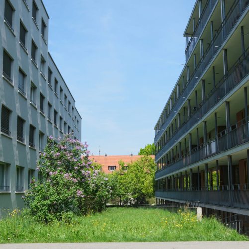 SSWZ_Bülachhof_Bülachstrasse_60