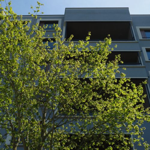 SSWZ_Cäsar-Ritz-Strasse_123